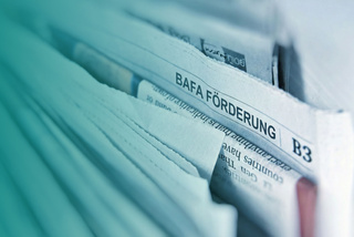 BAFA geförderte Beratung